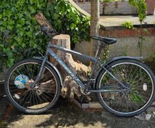 bicycle