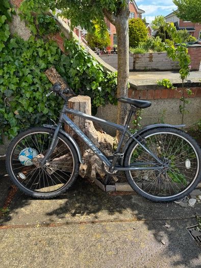bicycle