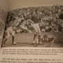 Jack Mahons Action Replay G.a.a Centenary 1984      Gaa Book Image 10
