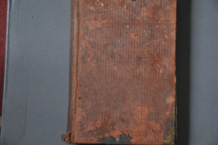 Irish Nationality by Alice Stopford Green