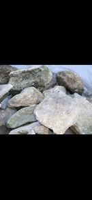 reclaimed stone x 1 ton