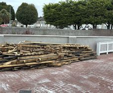 Free Wood