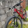 Trek mountain bike Image 4