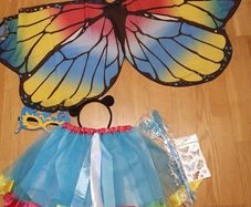 A butterfly costume for 4-6 years old