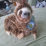 planet earth posh paws sloth Image 2