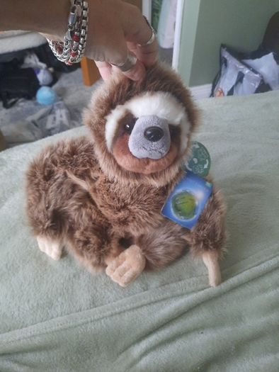 planet earth posh paws sloth