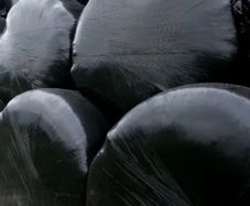 Silage bales