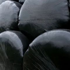 Silage bales
