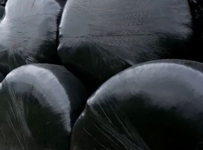 Silage bales