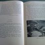 Highlights of Ireland's story A book of knowledge and fascinating facts Image 4