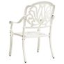 5 Piece Bistro Set Cast Aluminium White Image 5