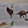 My Big Book of How When and Why Children,s Encyclopedia Hardback book Image 7