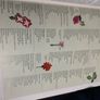 The Royal Horticultural Society Encyclopedia Of Gardening- Christopher Brickell Image 8