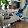 Chaise lounge Image 3