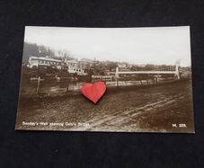 Ireland Postcard : Showing Dalys Bridge , Sunday's Well , Co. Cork