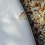 Atlantek 7'3" Surfboard (Includes Fins & Leash) Image 6