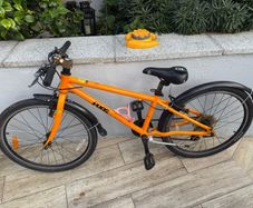 Frog Bike