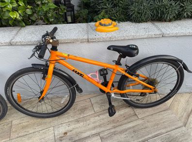 Frog Bike