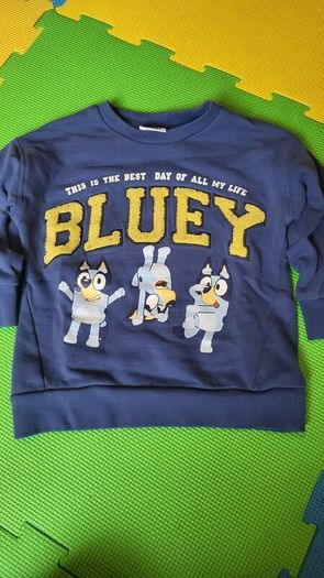 Bluey clothes bundle