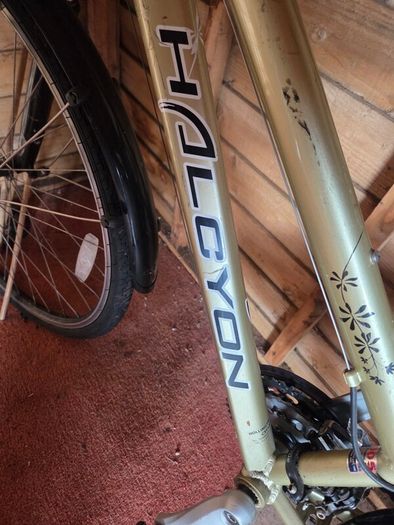 Ladies bike