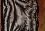 Gap Navy White Stripe Top