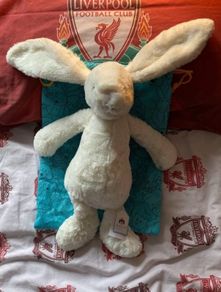 Jellycat bashful bunny