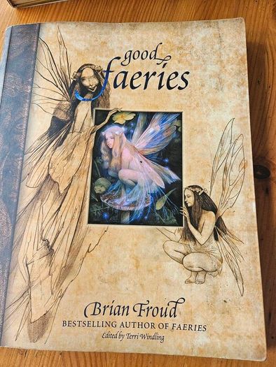 Good Faeries Bad Faeries. By Brian Fraud. First Edition Large Volume Paperback In Good Condition.  See Photos For Same.