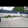 outdoor plants Image 3