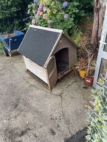 Dog House