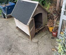Dog House
