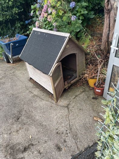 Dog House