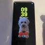 Samsung S26 Image 2