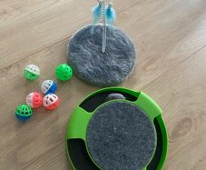 Cat Toys