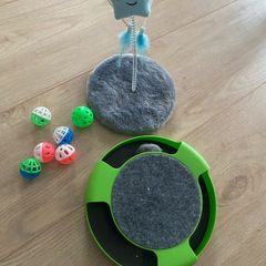 Cat Toys