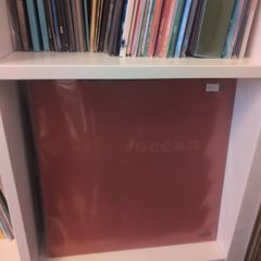 Frank Ocean - Channel Orange LP