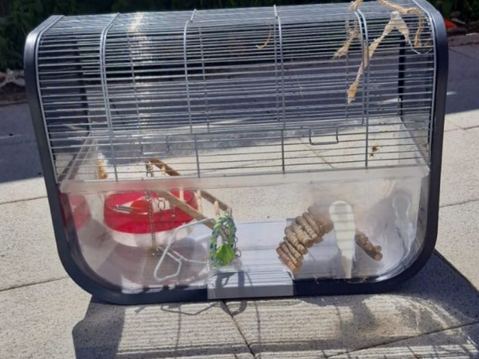 Hamster cage