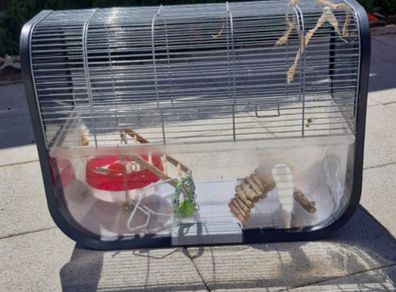 Hamster cage