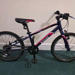 Wiggins Characters 20 kids bike