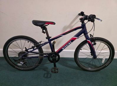 Wiggins Characters 20 kids bike