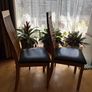 x2 Dining chairs Image 6