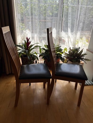 x2 Dining chairs