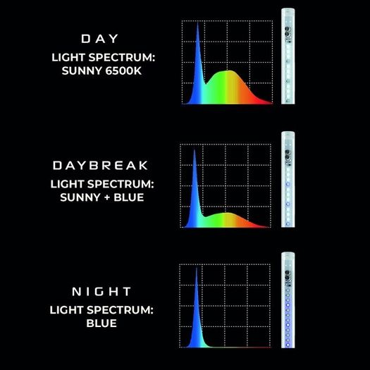 Aquael LEDDY Tube Day&Night 14W Sunny 62cm