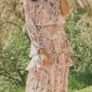 H&M Johanna Ortiz Silky Pink Floral One Shoulder Ruffle Maxi sz12 Image 6