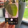 Iphone 16pro 128gb Image 9