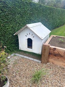 dog house.