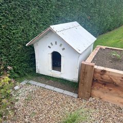 dog house.