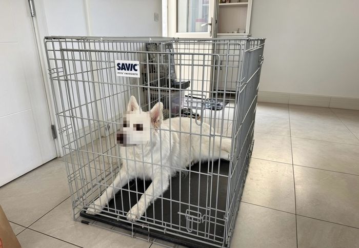 Savic dog crate Giant size