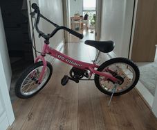 Training bike