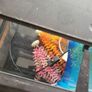 fish t Image 3