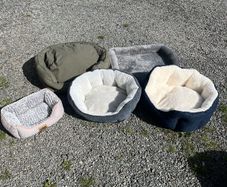 Dog Beds